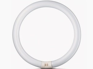  
	Rõngakujuline luminofoorlamp 32 W, Philips Master TL-E 32W/840/G10q,  4-PIN , 559685 
