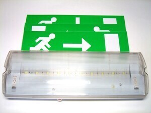  
	LED avariivalgusti DP638LS M 
