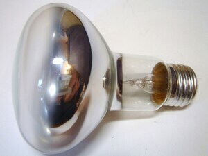  
	Лампа накаливания зеркальныая 60 Вт, Concentra Spot R80, Osram, 322759 
