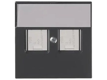 <p>
	Arvuti-telefoni 2-ne katteplaat ABB (sari - Impressivo), 1819DC-81, 2TKA00001109</p>
