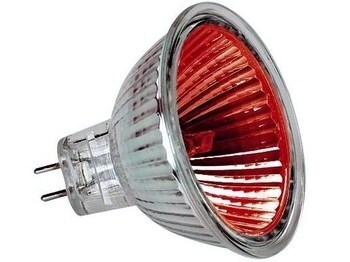 <p>
	Halogeenlamp 50W, 12V, 38°, H63218RF, Orbitec, 131740, <strong><span style="color:#ff0000;">Red</span></strong></p>
